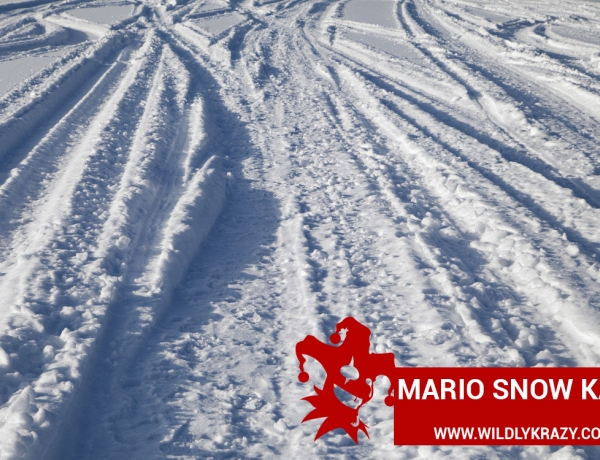 MARIO SNOW KART