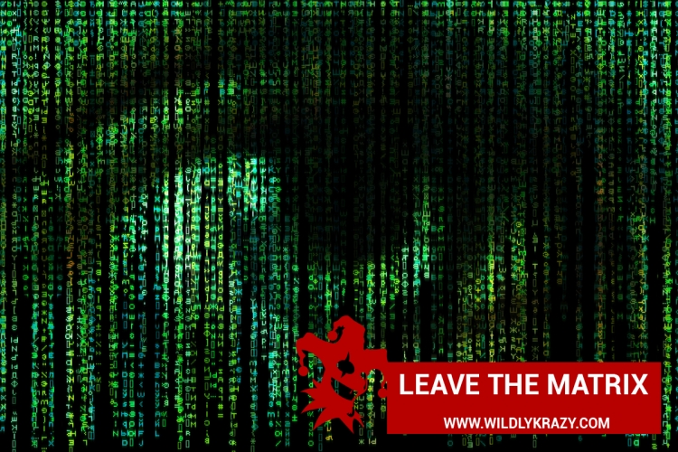 LEAVE THE MATRIX